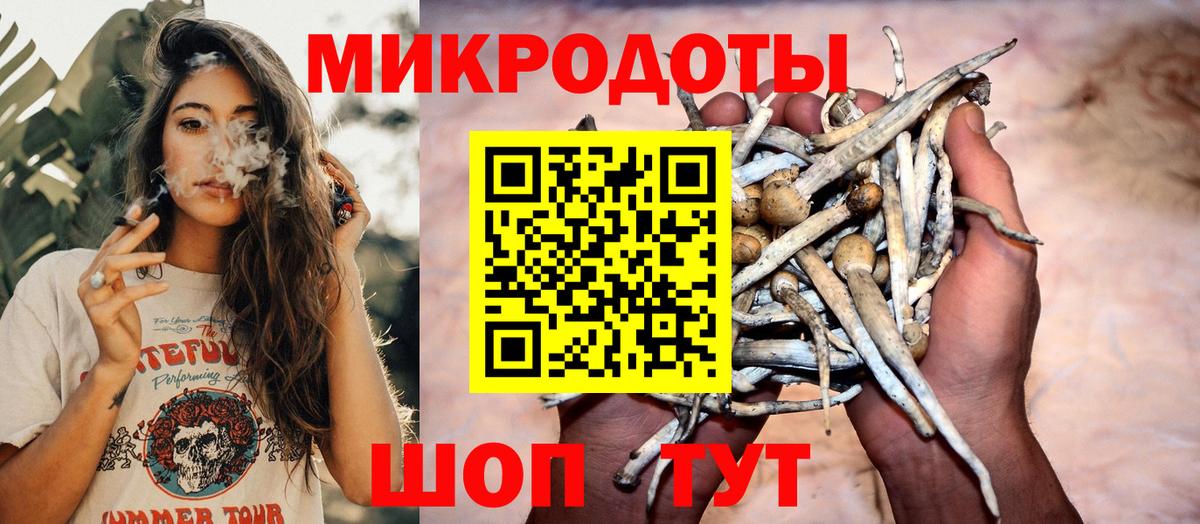 Псилоцибиновые грибы Psilocybe  Вход с VPN  Лянтор 
