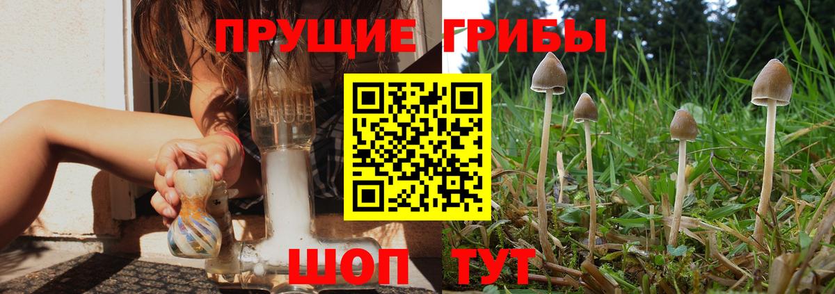 Галлюциногенные грибы GOLDEN TEACHER Лянтор
